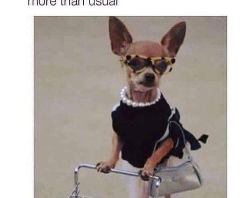 Meet your Posher, Deborah